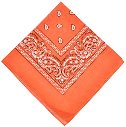 100% Cotton Bandanas, Alotpower Multipurpose Paisley Printing Cowboy Bandana Headbands Handkerchiefs Necktie