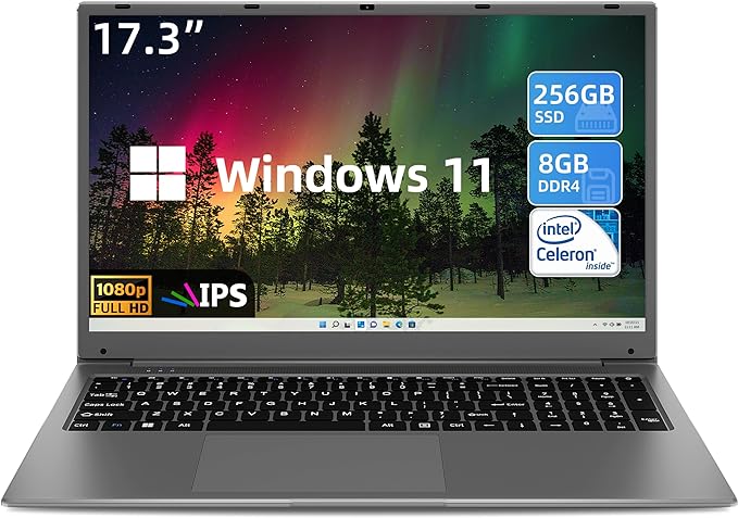 SGIN 17.3 Inch Laptop Computer, 256GB SSD 8GB RAM, 1920 * 1080 IPS FHD Display, Windows 11 Laptop with Quad-Core Intel Celeron J4105 Processors, 8000mAH, USB 3.0, Type-C, Bluetooth 4.2, 2.4/5G WiFi