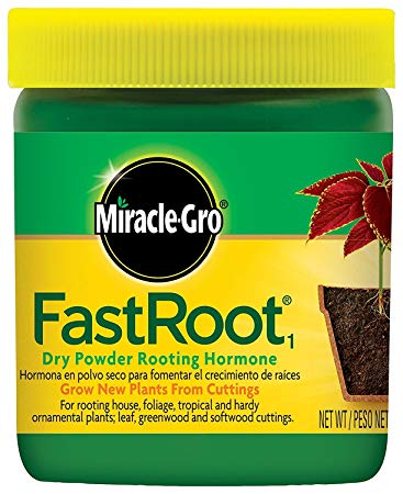 Miracle-Gro FastRoot Dry Powder Rooting Hormone Jar, 1-1/4-Ounce (2 Pack)