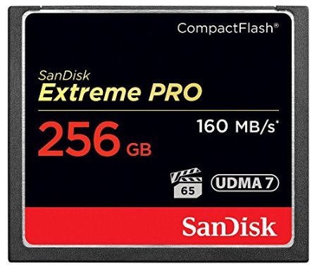 SanDisk Extreme PRO 256GB CompactFlash Memory Card UDMA 7 Speed Up To 160MB/s- SDCFXPS-256G-X46