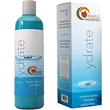 Shampoo For Dry Hair And Flaking Scalp Daily Hair Moisturizer For Hydration And Nourishment Natural Hair Care For Dry Damaged Hair And Itchy Scalp With Pure Almond Carrot Jojoba And Lavender Oils