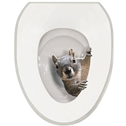 It's A Squirrel! Toilet Seat Tattoo Decal - Oval