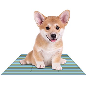 Eutuxia Cooling Mat, Soft Gel Pad for Dogs, Cats, Pets, Couches, Chairs, Car Seats, Floors. Non-Toxic Polymer Material. Keep Yourself or Your Pet Comfortable and Cool. Great for Hot Summers. Portable.