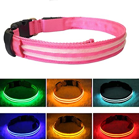 PPWW' Safety Light Up Dog Collars - with Water Resistant - 3 LED Mode Settings - 10 Styles in Options - USB Rechargeable