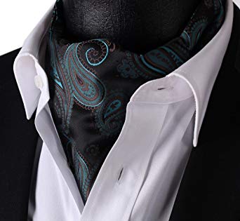 HISDERN Men's Paisley Floral Ascot Tie Jacquard Woven Silk Cravat