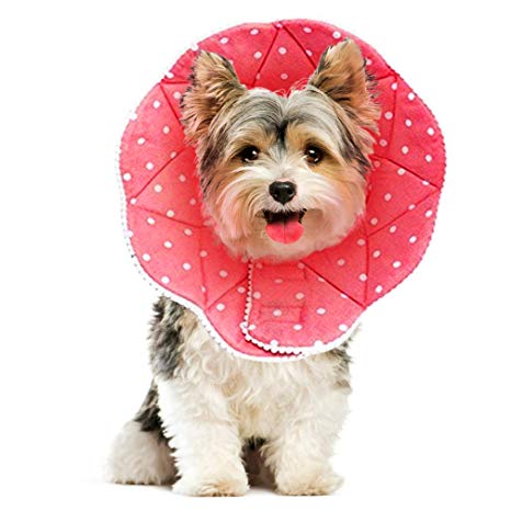 SunGrow Comfy Cone for Dogs and Cats, Post Surgery Recovery Collar, No Stress to Pets, Water Resistant, Adjustable Loop Type Wrist Fasteners, No Vision Blockage, Cute and Soft,