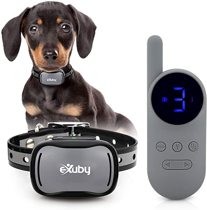 eXuby - Tiny Shock Collar for Small Dogs 5-15lbs - Smallest Collar on The Market - Sound, Vibration, Shock - 9 Intensity Levels - Pocket-Size Remote - Long Battery Life - Waterproof