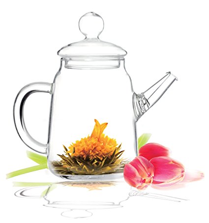 Lead Free Special Glass Blooming Tea Glass Teapot Solo, 12oz/355ml No Drip by Tea Beyond