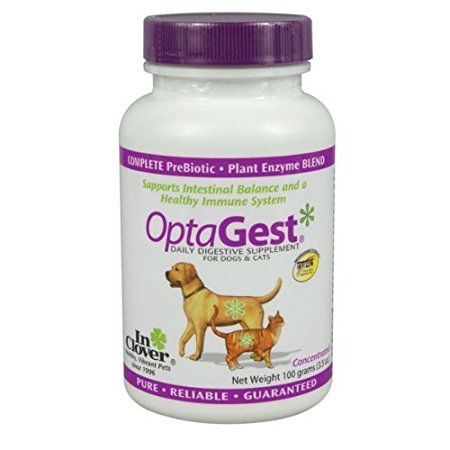 In Clover OptaGest Digestive Aid Dog & Cat Supplement