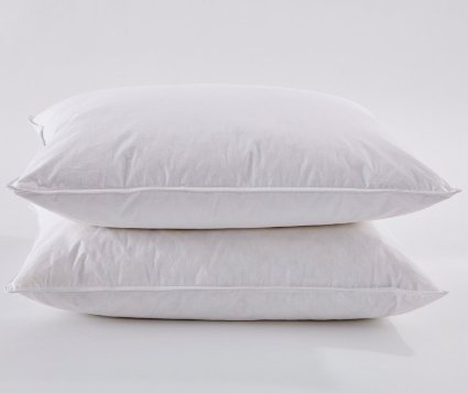 Puredown White Goose Feather and Down Pillow King Set of 2
