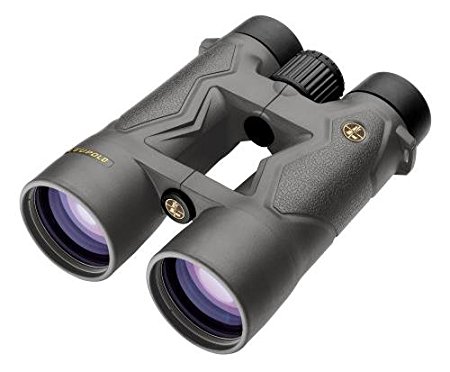 Leupold Bx-3 Mojave Pro Guide HD Roof Binoculars, Shadow Grey, 10 x 50mm