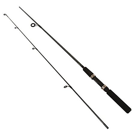 SHIMANO FX SERIES ROD 6'6 2PC 2PC