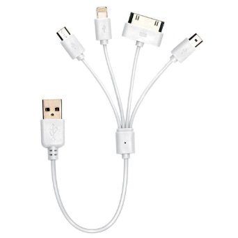 Universal Portable Charge Cable 4 in 1 8 PIN 30 PIN 20 Micro USB Charging Cable Mini USB Multi Charging Cable for iPhone 6s 6 Plus iPad 4 Mini Samsung Galaxy HTC Sony and more by Gempion White