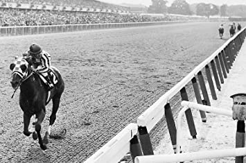 Home Comforts Secretariat Wins at Belmont Wall Art Horse Racing S Artwork Vivid Imagery Laminated Poster Print-20 Inch by 30 Inch Laminated Poster With Bright Colors And Vivid Imagery