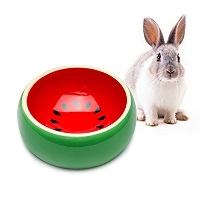 Mkono No-Tip Ceramic Rabbit Food Bowl Feeder for Guinea Pig Hamster Chinchilla