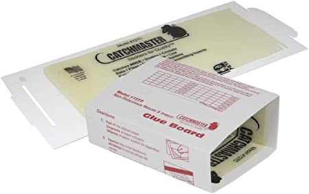 Catchmaster 72TC Mouse and Insect Glue Board - 72 Pack