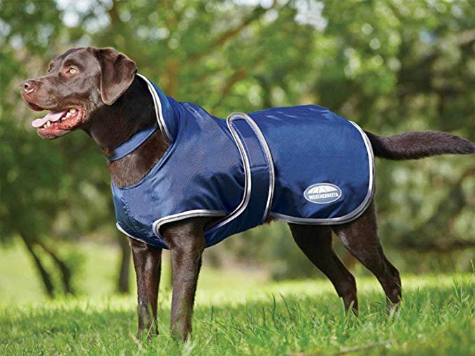 Weatherbeeta Windbreaker 420D Deluxe Dog Coat