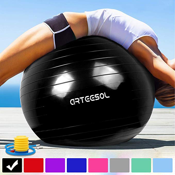 Arteesol Exercise Ball 45cm / 55cm / 65cm / 75cm Anti-burst Anti-slip Yoga Swiss Ball Birthing Ball Quick Pump Fitness Gym Yoga Pilates Core Training Physical Therapy