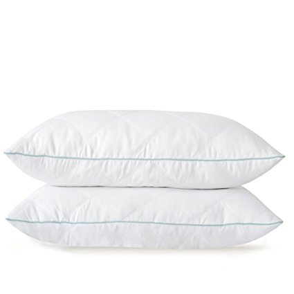 Basic Beyond Quilted Feather and Down Pillow, 600 Fill Power Peach Skin Fabric, Standard/Queen Size, White, Set of 2