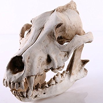 YX Craft Resin Ornaments Decorative Skull Wolf Hyena skull Bar Decoration