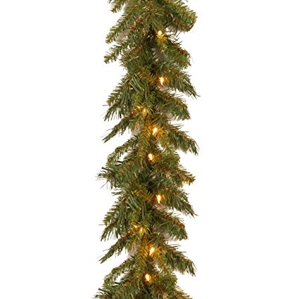 National Tree 9 Foot by 10 Inch Tiffany Fir Garland with 50 Clear Lights (TF-9ALO-1)