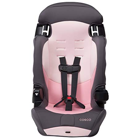 Cosco Finale DX 2-in-1 Booster Car Seat, Sweetberry