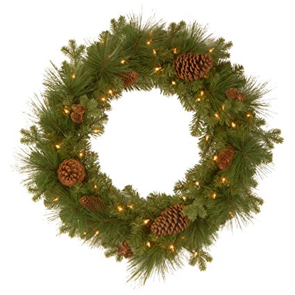 National Tree 24 Inch Feel Real Eastwood Spruce Wreath with 18 Mixed Pine Cones and 50 Warm White Battery Operated LED Lights with Timer (PEEW3-300-24WB1)