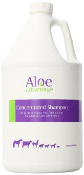 Aloe Concentrated Shampoo 1 Gallon