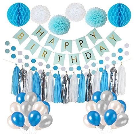 Frozen Theme White and Blue Party Decorations for girls, balloons, Pom Poms Flowers, birthday banner, paper Garland , Tassels for 1st Birthday Girl Decorations Kids Birthday by Litaus