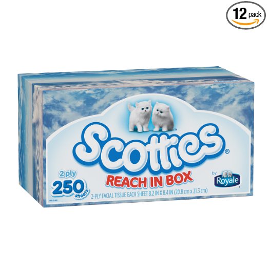 Scotties 2-Ply Facial Tissue, 250 Count (Pack of 12)