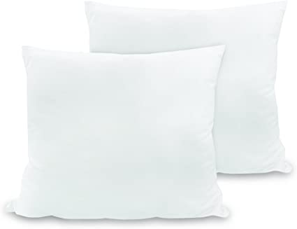 Nature's Rest Luxurious 28-by-28 Inch Euro Square Pillows, 2-Pack