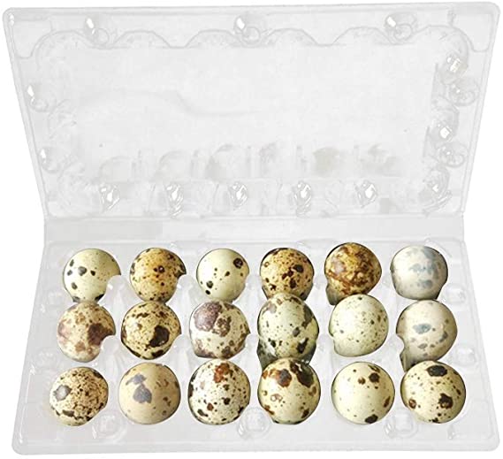 Hemoton 50 Pcs 18 Grids Quail Egg Cartons Egg Holders with Cover Plastic Egg Tray Eggs Storage Box for Refrigerator
