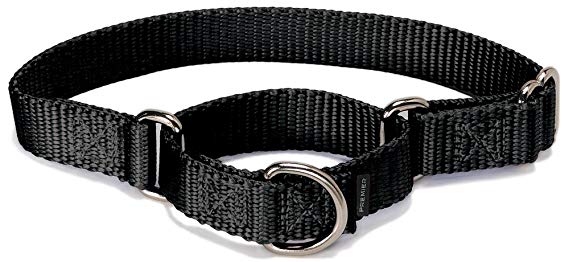 PetSafe Martingale Dog Collar, Alternative to Choke Collar