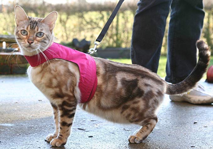 Mynwood Cat Jacket/Harness Pink Adult