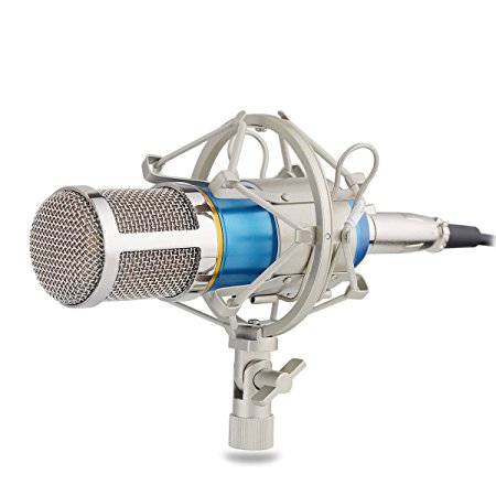 InnoGear Studio Recording Condenser Microphone with Shock Mount Holder Clip