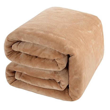 Shilucheng Luxury Fleece Blanket Super SoftWarm Fuzzy Lightweight Bed Blankets (Queen,Cream)