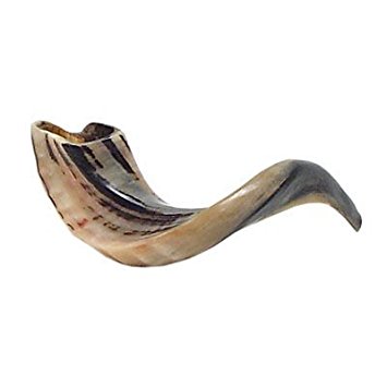 Kosher Odorless Ram's Horn Polished Shofar Medium Size 12"-14", with Leather Pouch and Shofar Blowing Guide