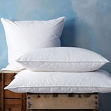 SOAK AND SLEEP Duck Feather & Down Pillow- Standard (50 x 75cm) 2 Pack Soft/Medium Support