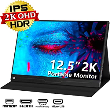 Portable Monitor 2K 12.5 inch 2560x1440 USB-C Display with HDMI Type-C Mini DP Port for NTD Switch Laptop PC PS4 Xbox Phone