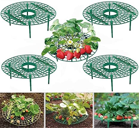 10 Pack Strawberry Supports Keeping Fruit Elevated to Avoid Ground Rot& Balcony Planting Rack Fruit Support Plant Flower Climbing Vine Pillar Gardening Stand