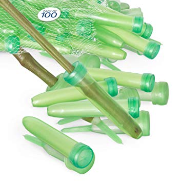 Floral Water Tubes/Vials For Flower Arrangements by Royal Imports, Green - 3" (1/2" Opening) - Standard - 100/Pack - w/Caps