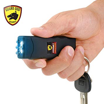 Guard Dog Security Hornet Worlds Smallest Stun Gun Keychain with LED Flashlight, Rechargeable