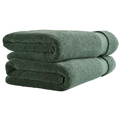 Rivet HygroCotton Cotton Bath Towels, Set of 2, Pine