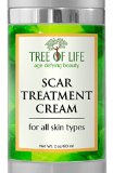 Best Scar Cream - 72 ORGANIC - With Arnica Montana And Vitamin E - Bruise and Scar Treatment - GUARANTEED - FREE Top Rated Anti Aging Ebook With Purchase A 799 Value - MONEY BACK GUARANTEE