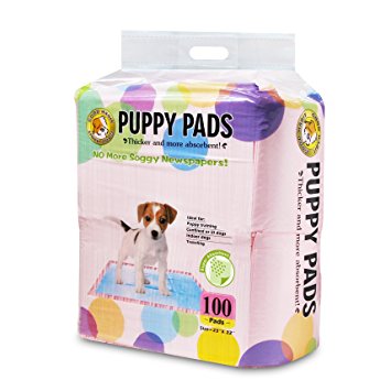 Best Pet Supplies Puppy/Training Pads