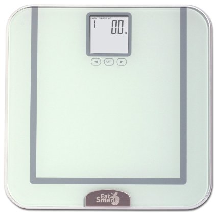 EatSmart Precision Tracker Digital Bathroom Scale w/ 400 lb. Capacity and EatSmart AccuTrack Software (Silver)