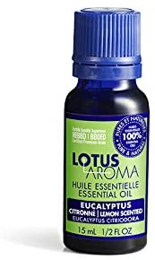 Lotus Aroma Eucalyptus Citriodora Essential Oil, 0.5 Ounce