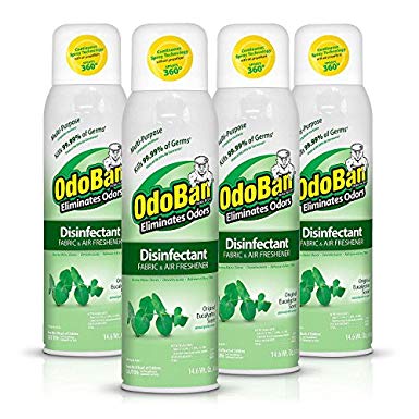 OdoBan Disinfectant Fabric and Air Freshener Spray, Eucalyptus Scent (14 oz, 4 pk.)
