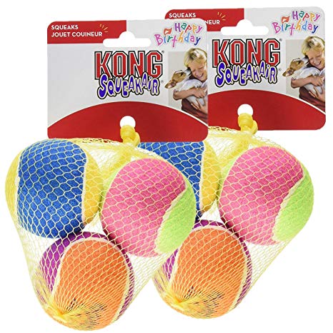 KONG Air Dog Squeakair Birthday Balls Dog Toy, Medium, Colors Vary (3 Balls)