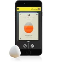 The Stone - A Button To Find Your Phone, Text Eta, Emergency Call and Control Your Camera - Glacier